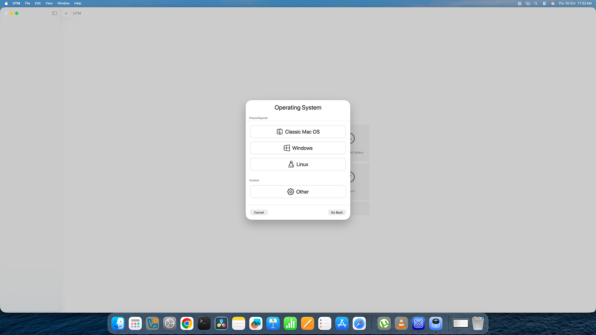 UTM showing Other option selected